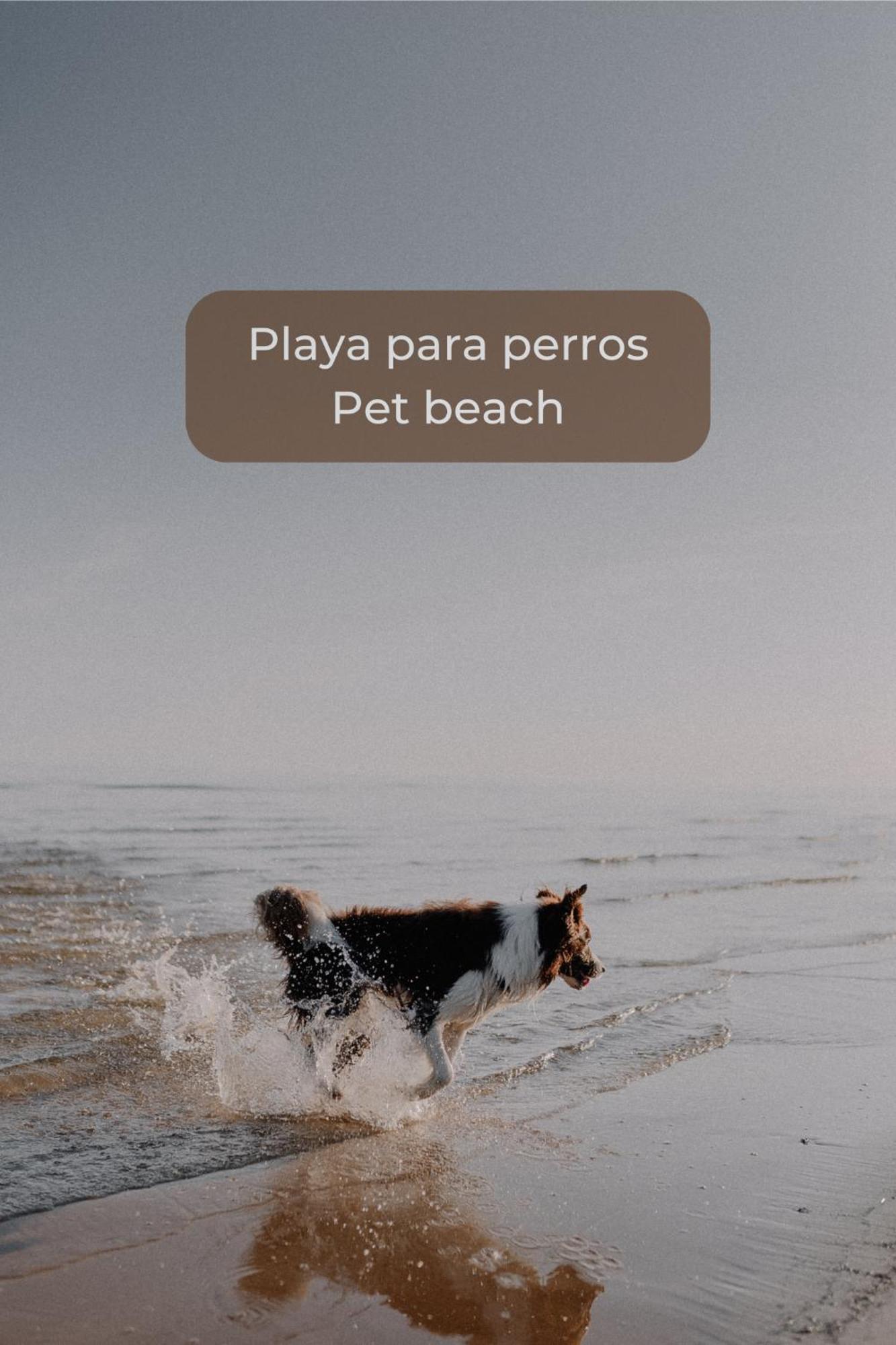 Canelita Con Piscina, Soleada Terraza Amplia Wifi Y Parking Коралео Екстериор снимка